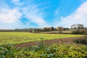 Open views- click for photo gallery